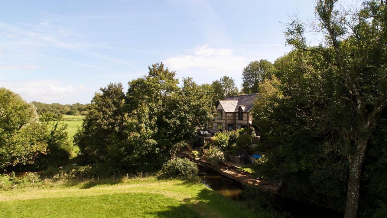 דורצ'סטר Waterfield House B&B מראה חיצוני תמונה